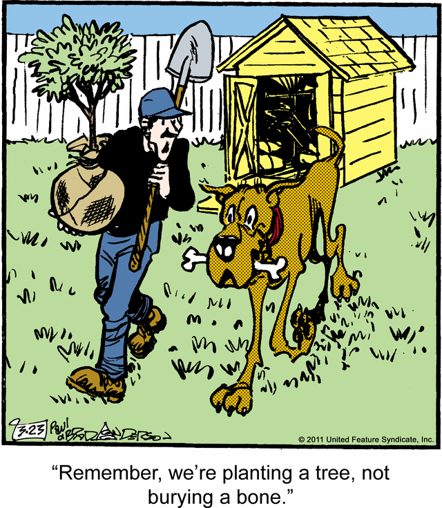 marmaduke